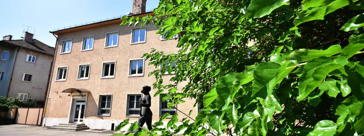 Cégtörténet