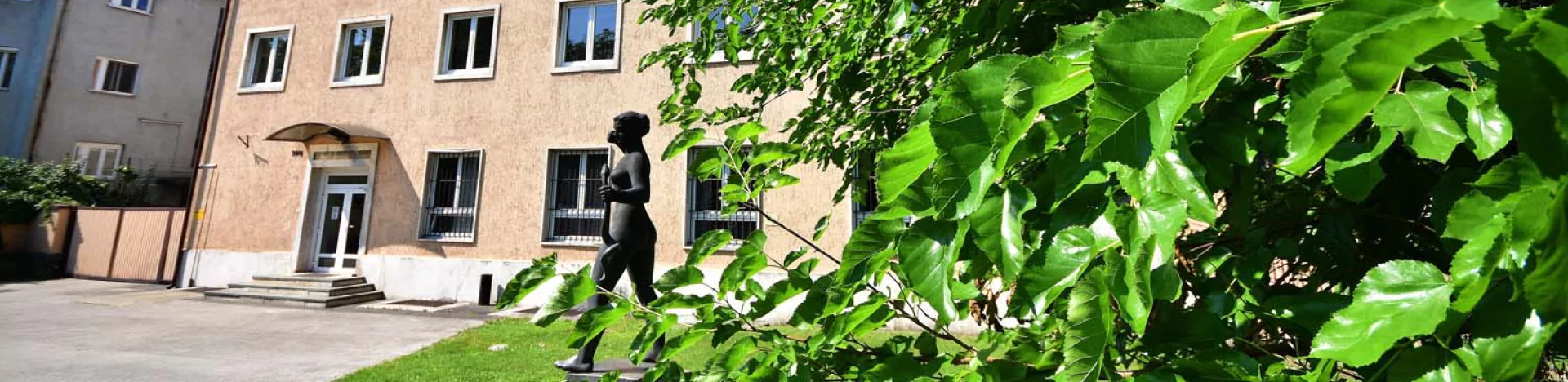Cégtörténet